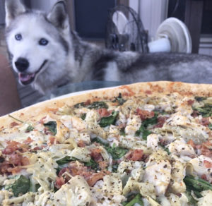 Closup of grilled pizza and a husky dog.